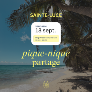 ☀️ PIQUE-NIQUE PARTAGÉ DE RENTRÉE - 18 SEPT